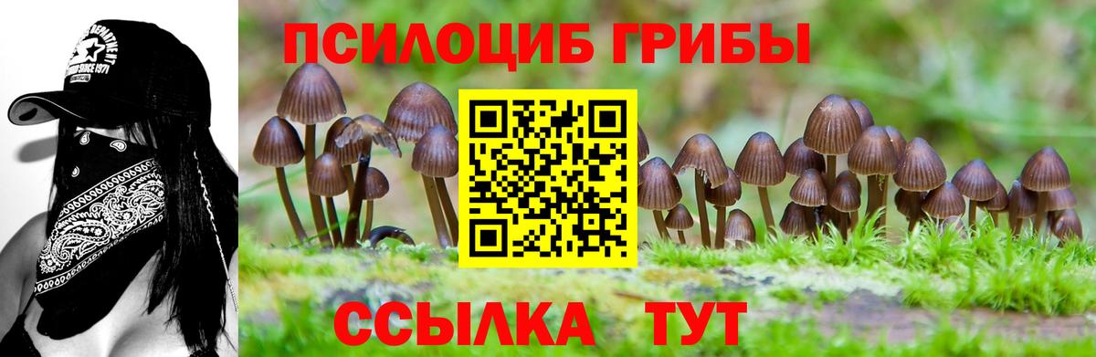 Псилоцибиновые грибы Magic Shrooms  Вход с VPN  Бугуруслан  Галлюциногенные грибы MAGIC MUSHROOMS 
